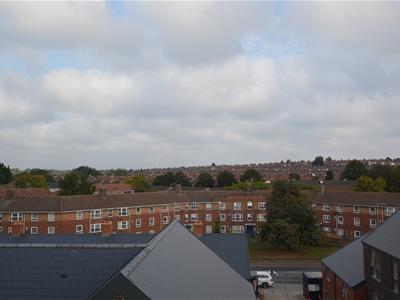Picture 7